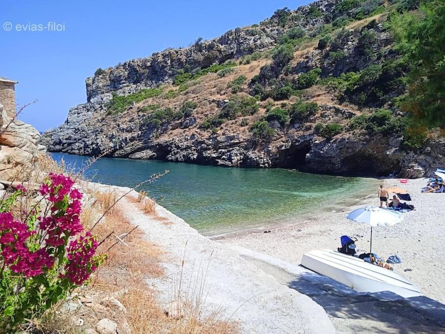 Παραθαλασσιο Σπιτι Στην Εξοχη Vila Tsakei Exterior foto