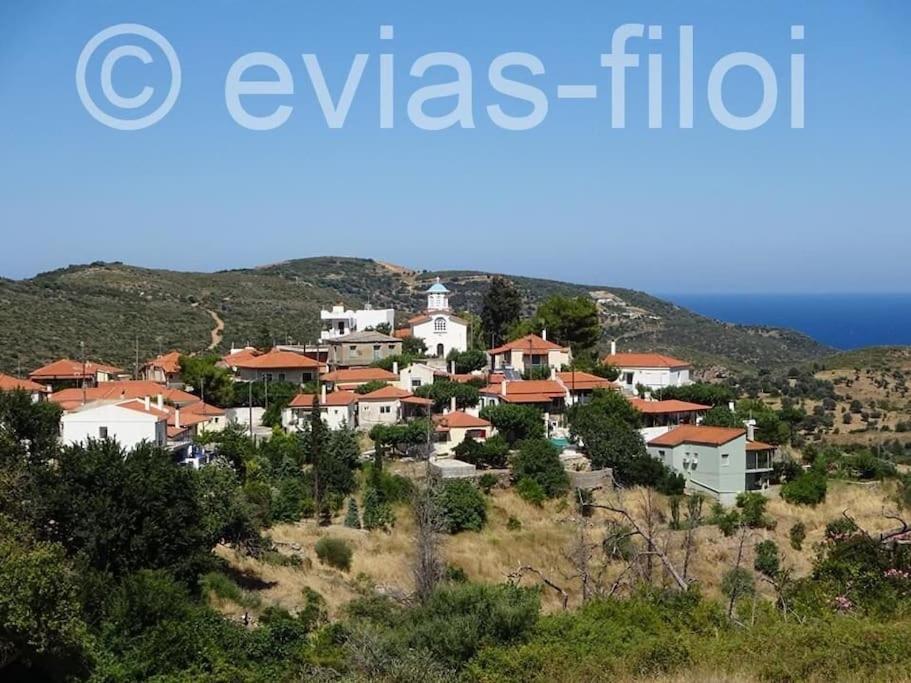 Παραθαλασσιο Σπιτι Στην Εξοχη Vila Tsakei Exterior foto