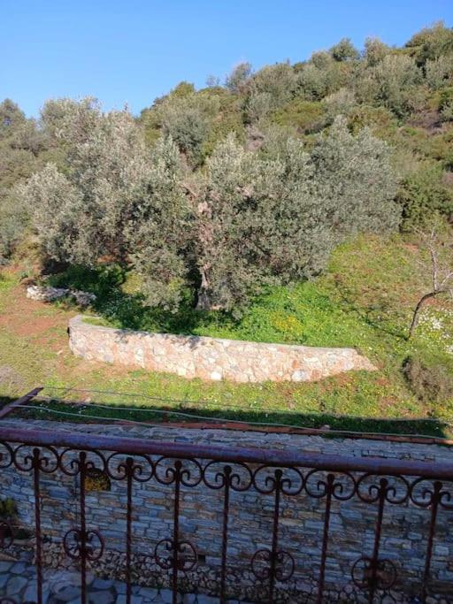 Παραθαλασσιο Σπιτι Στην Εξοχη Vila Tsakei Exterior foto