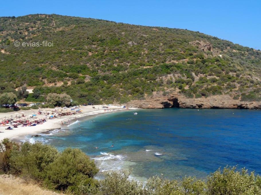 Παραθαλασσιο Σπιτι Στην Εξοχη Vila Tsakei Exterior foto